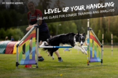 Level Up Your Handling - Active application